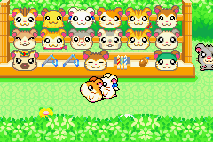 screenshots/Game Boy Advance/Hamtaro - Rainbow Rescue/Hamtaro - Rainbow Rescue (Eng) 078.png